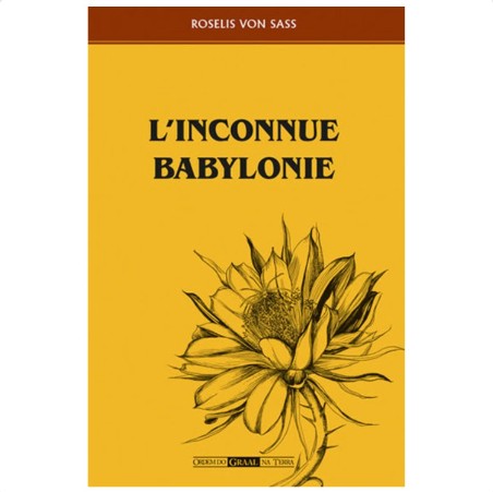 L'inconnue babylonie L'inconnue babylonie